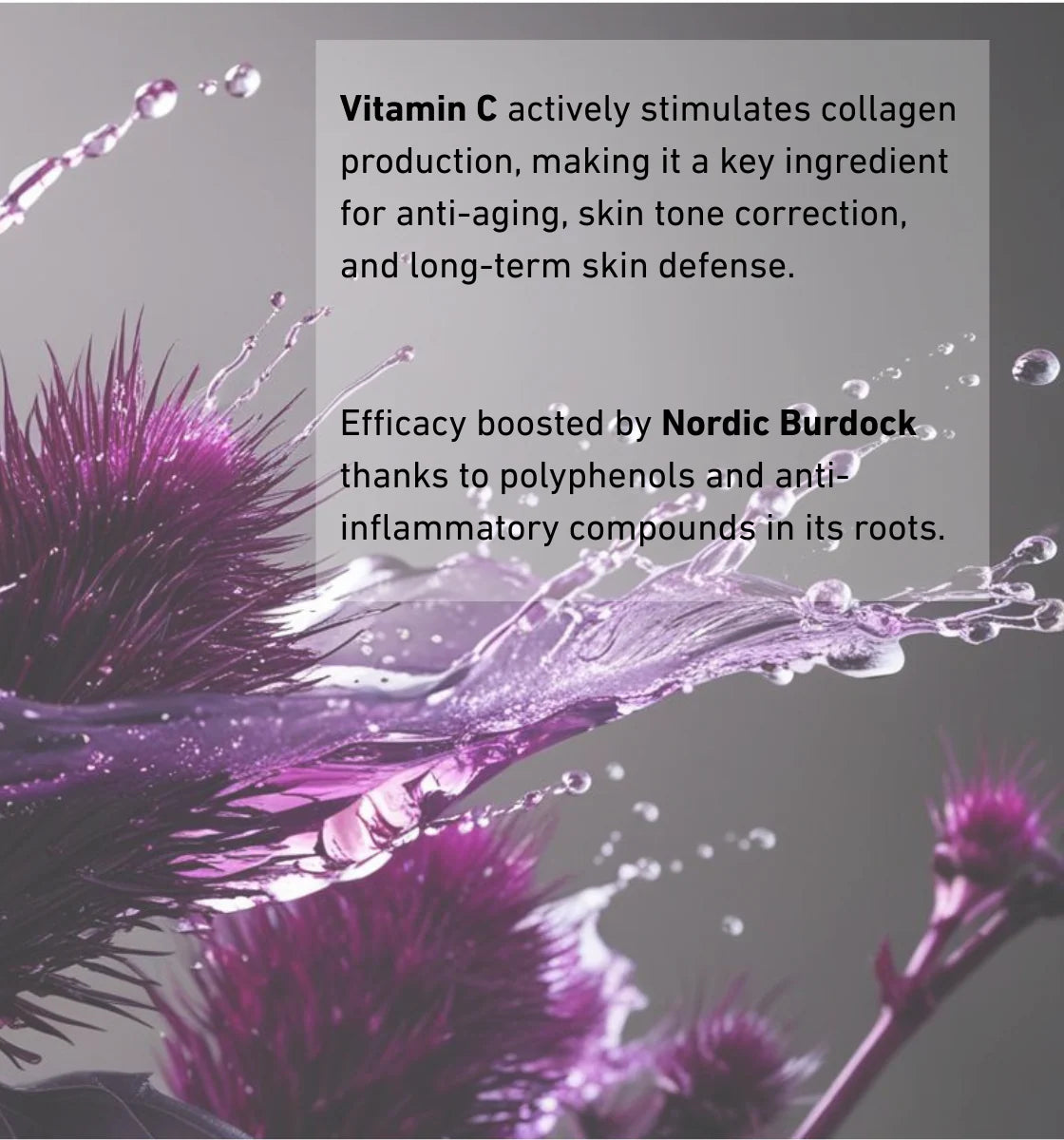 BIONNEX VITAMIN C 15% + ACID FERULIQUE 0,5% + BURDOCK SERUM