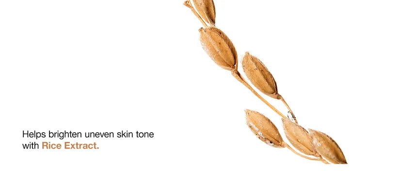 Anua - 7 Rice Ceramide Hydrating Barrier Serum - Sérum hydratant au riz